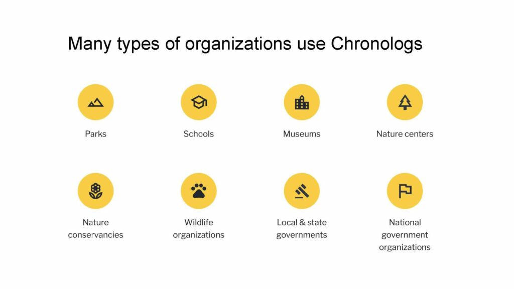 Slides template Chronolog Google Slides Page 13