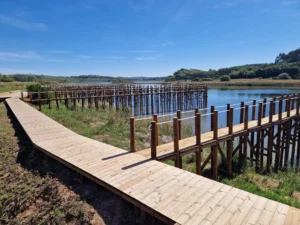 nadadouro lagoa obidos 2