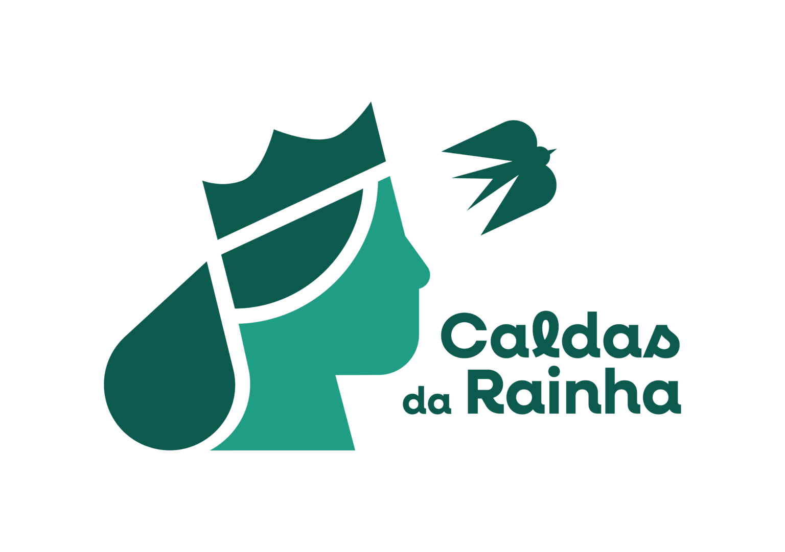 LOGO Principal Caldasdarainha cores