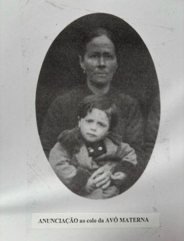 avocao 0